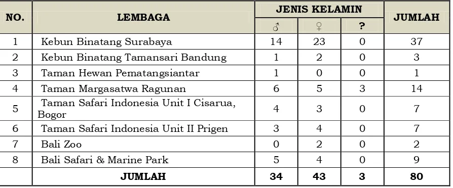 Tabel 1. Data Babirusa di Lembaga Konservasi di Indonesia (Data sampai dengan Desember 2011) 