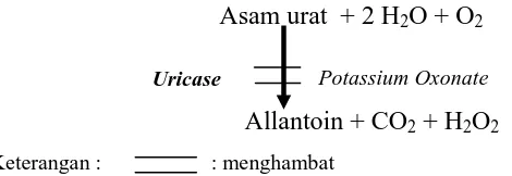 Gambar 2. Mekanisme aksi dari kalium oksonat dalam menghambat kerja enzim urikase   