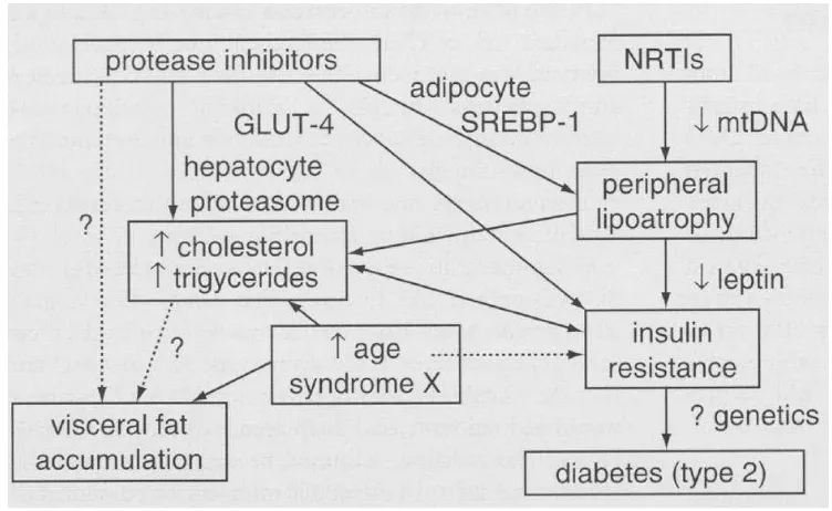 Gambar 2.3. Patogenesa dislipidemia dan resistensi insulin pada pasien 