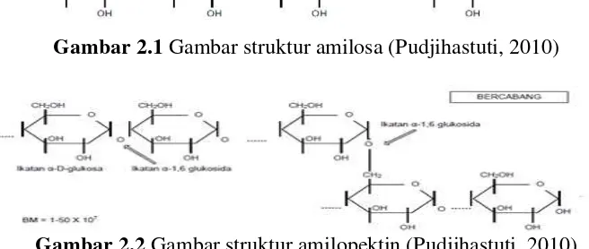 Gambar 2.2 Gambar struktur amilopektin (Pudjihastuti, 2010) 