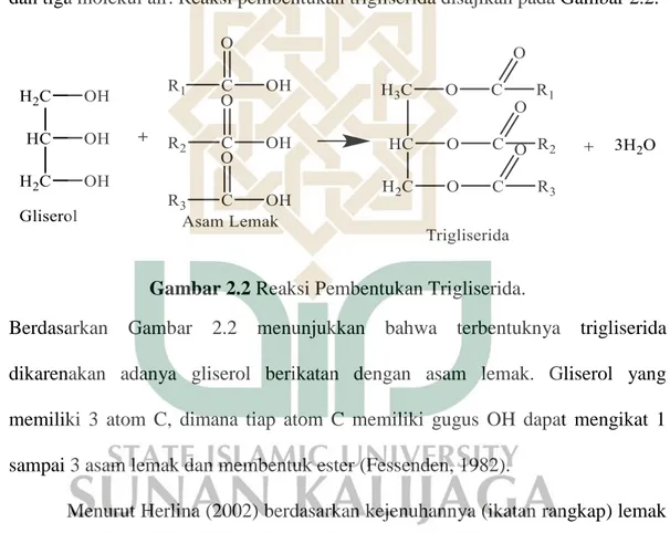 Gambar 2.2 Reaksi Pembentukan Trigliserida. 