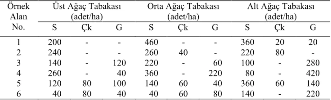 Çizelge  4.  Örnek  alanlardaki  ağaç  sayılarının  ağaç  türlerine  göre  üst,  orta  ve  alt  ağaç  tabakalarına dağılımı
