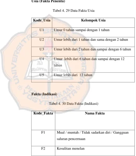 Tabel 4. 29 Data Fakta Usia 