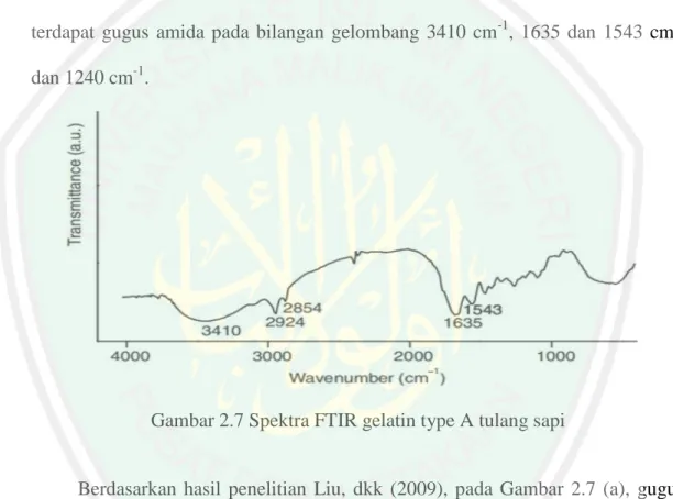 Gambar 2.7 Spektra FTIR gelatin type A tulang sapi 