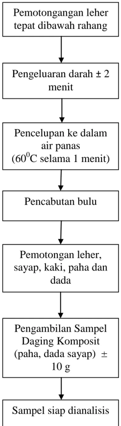 Ilustrasi 2. Diagram Alir Proses Pemotongan Ayam sampai Sampel Siap Dianalisis Pemotongangan leher 