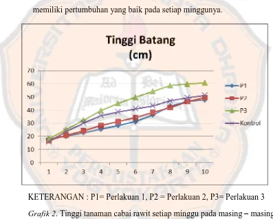 Grafik 2. Tinggi tanaman cabai rawit setiap minggu pada masing – masing perlakuan  