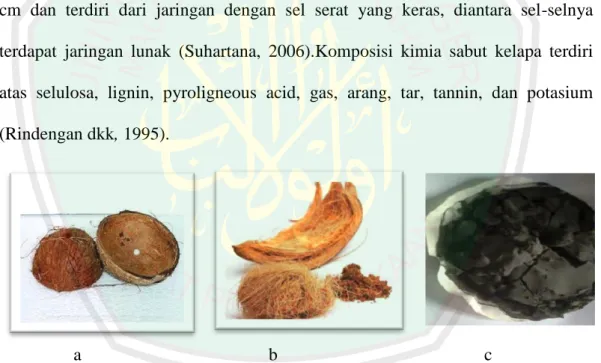 Gambar 2.1 a) Tempurung kelapa, b) Sabut kelapa, c) abu sabut dan tempurung   kelapa (Rindengan dkk, 1995) 