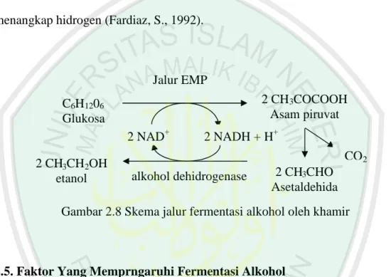 Gambar 2.8 Skema jalur fermentasi alkohol oleh khamir