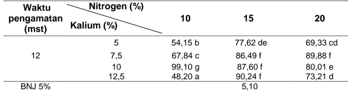 Tabel 3. Rata-rata berat kering tanaman (g/tanaman) jeruk akibat interaksi antara perlakuan  pemberian pupuk nitrogen dan kalium pada umur pengamatan 12 mst 