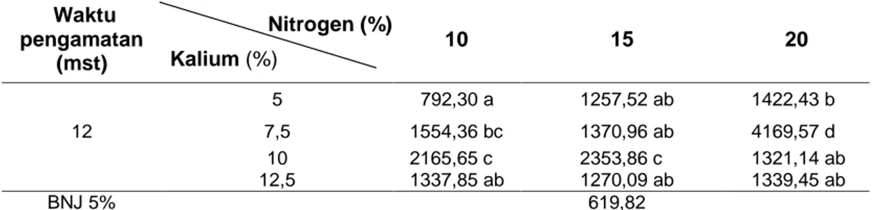 Tabel 4. Rata-rata luas daun (cm 2 /tanaman) akibat interaksi antara perlakuan pemberian pupuk  nitrogen dan kalium pada umur pengamatan 12 mst 