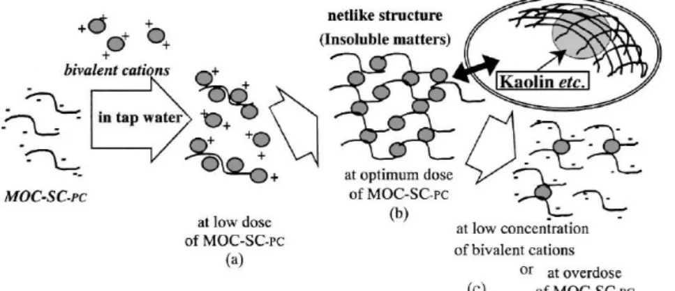 Gambar 2.4 Mekanisme koagulasi menggunakan Moringa Oleifera yang diekstrak  dengan pelarut garam (Okuda dkk.,  2001) 
