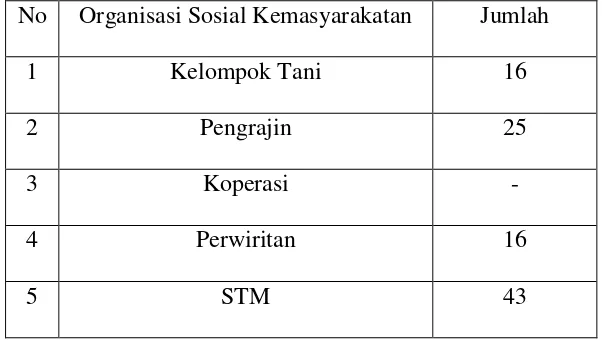 Tabel 3.8 : Organisasi Sosial Kemasyarakatan di Desa Wonosari 