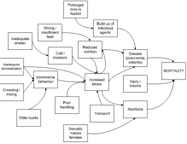 Figure 10 Causal web of mortalities in goat exports (adapted from More and Brightling 2003) 