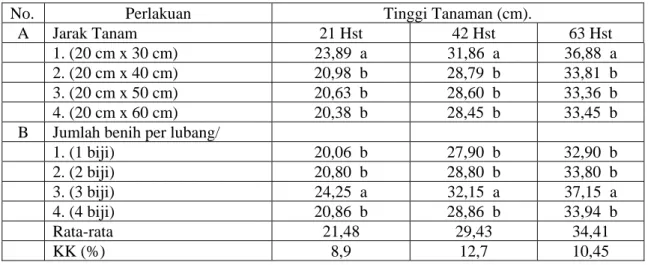 Tabel 1.  Penagaruh kombinasi jarak tanam dan jumlah biji per lubang terhadap tinggi tanaman  pada umur 21, 42 dan 63 hari setelah tanam (hst)  