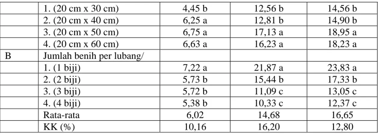 Tabel 3.  Interaksi antara kombinasi jarak tanam dan jumlah biji per lubang terhadap bobot hasil  polong segar per tanaman 