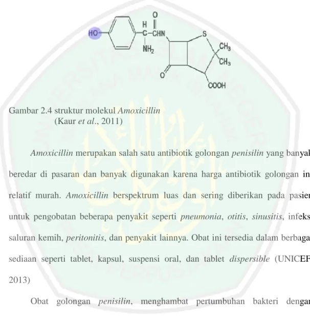 Gambar 2.4 struktur molekul Amoxicillin   (Kaur et al., 2011) 