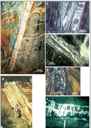 Gambar 6. A. Mother Lode fault-fill laminated veinparallel laminated fault-fill quartz vein, Bendigo, Australia