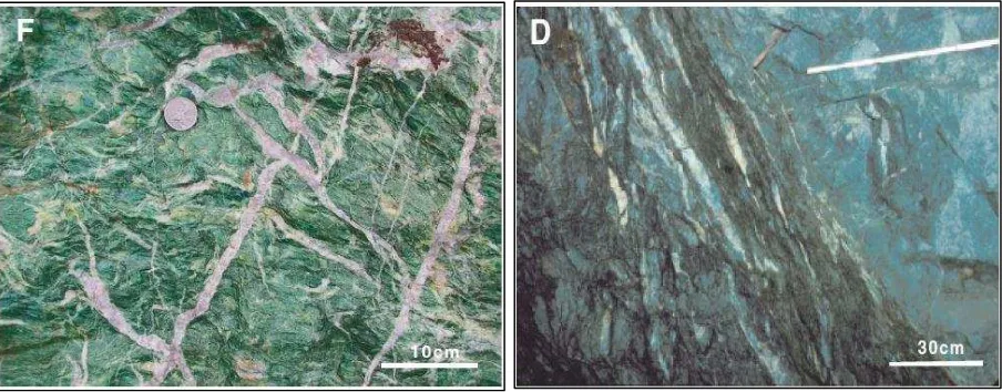 Gambar 3. Batuan karbonat hijau kaya fuchsite, Larder LakeF dan zona kekar gerus pada intrusi gabbroD (Goldfarb dkk., 2005)