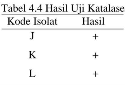 Tabel 4.4 Hasil Uji Katalase  Kode Isolat  Hasil 