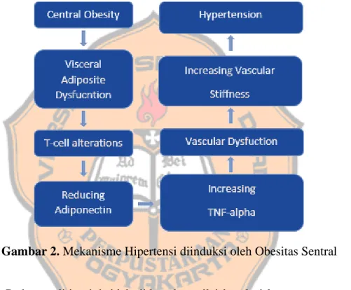 Gambar 2. Mekanisme Hipertensi diinduksi oleh Obesitas Sentral 