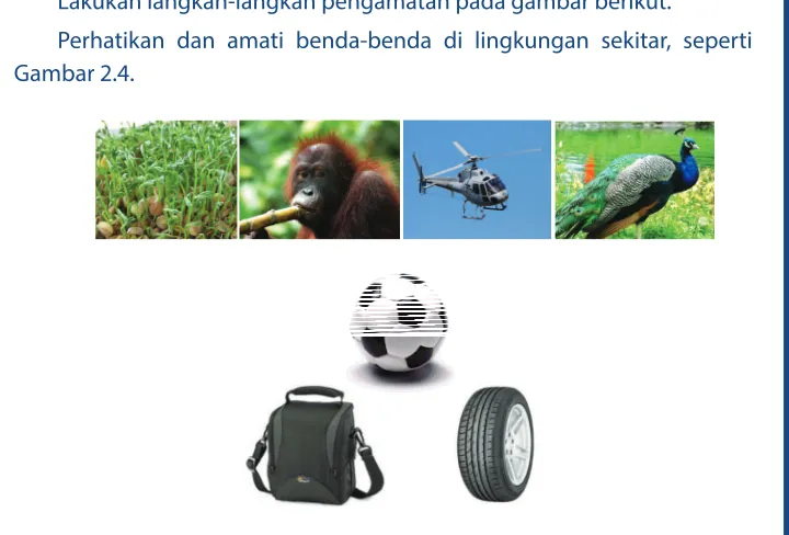Gambar 2.4.Sumber: Dok. Kemdikbud
