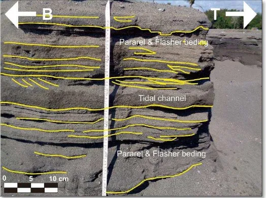 Tabel 3.6 Kolom sedimentologi lokasi P4 