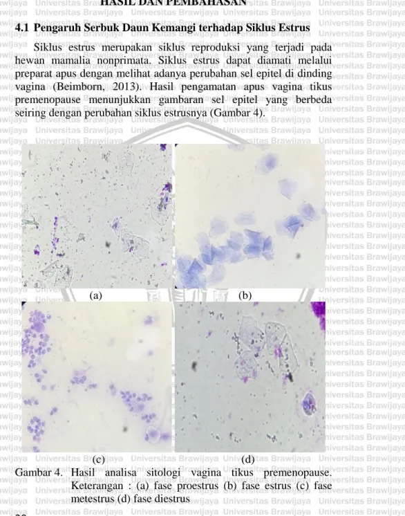 Gambar 4.  Hasil  analisa  sitologi  vagina  tikus  premenopause. 
