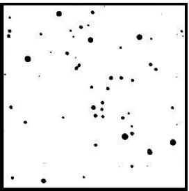 Gambar 3.2 Citra Obyek Gugus Bintang Terbuka M67 Sebagai Obyek 