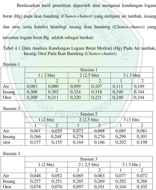 Tabel 4.1 Data Analisis Kandungan Logam Berat Merkuri (Hg) Pada Air tambak,  Insang, Otot Pada Ikan Bandeng (Chanos-chanos)