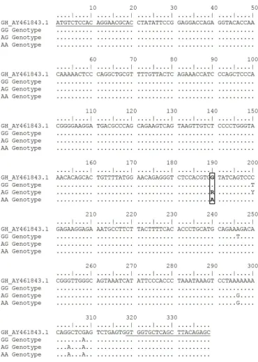 Figure 5. Partial intron 3 nucleotide sequence of chicken GH gene. Underline shows forward and reverse primer annealing positions; bold shows EcoRV restriction sites; box shows g.2248G>A GH SNP target (GenBank accession number: AY461843.1) .