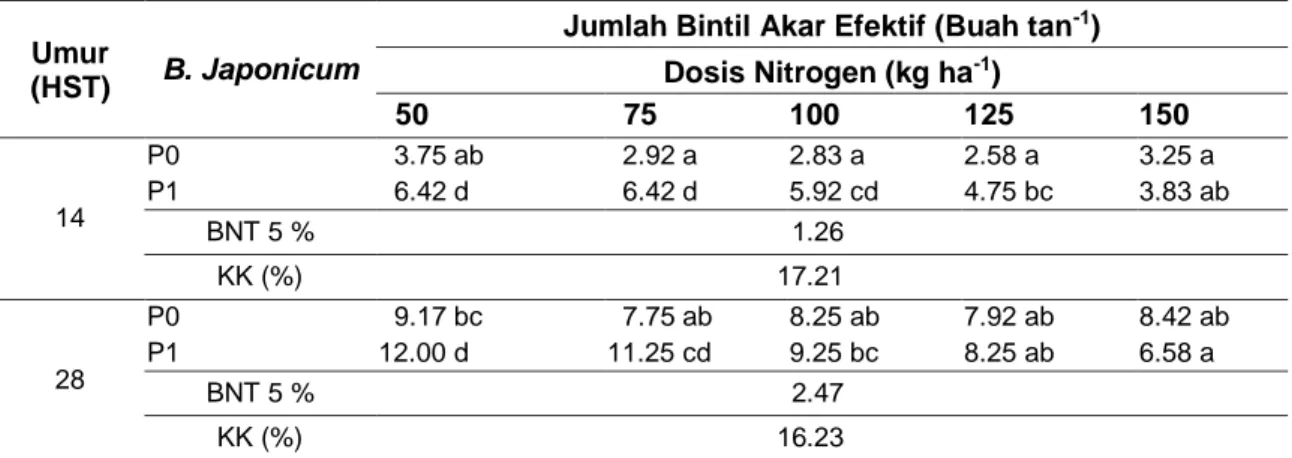 Tabel 4  Rerata  Jumlah  Bintil  Akar  Efektif  Kedelai  pada  Interaksi  Pemberian  Inokulum                   B