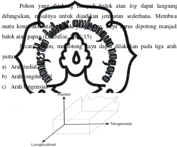 Gambar 7. Arah Potong Serat Kayu commit to user (Sumber: Sahara, 2010) 