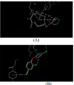 Gambar 2. Jarak antara protein TDP dan  senyawa  Zerumbon  (A).  Jarak  antara  protein  TDP  dan  senyawa  kontrol  Triclosan (B)