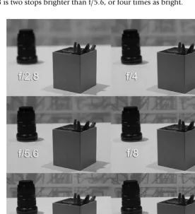Figure 3.12 Your aperture will affect your exposure, but it will also affect your depth-of-ﬁeld
