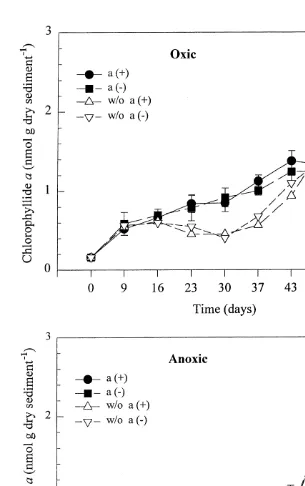 Fig. 4. Concentrations (nmol g dry sediment21) of chlorophyllide a in oxic and anoxic treatments with andwithout amphipods
