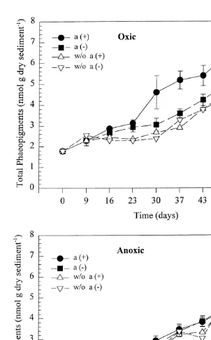 Fig. 7. Concentrations (nmol g dry sediment21) of total phaeopigments in oxic and anoxic treatments with andwithout amphipods