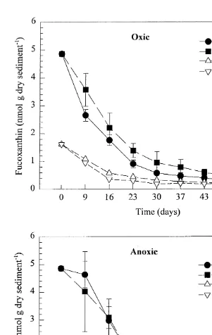 Fig. 8. Concentrations (nmol g dry sediment21) of fucoxanthin in oxic and anoxic treatments with and withoutamphipods