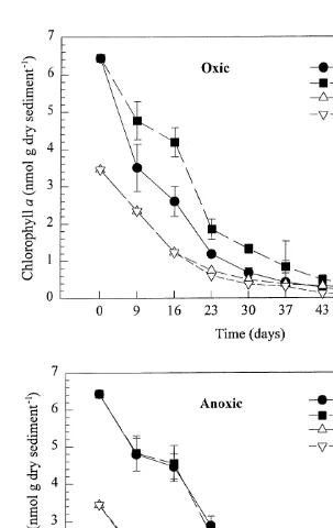 Fig. 3. Concentrations (nmol g dry sediment21) of chlorophyll a in oxic and anoxic treatments with andwithout amphipods (closed symbols)