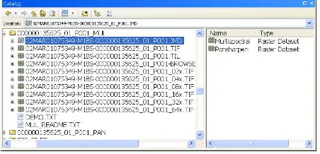 Figure 1. QuickBird raster products 