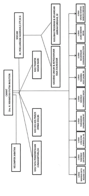 Gambar 2.1 Struktur Organisasi Kecamatan Rantau Selatan 