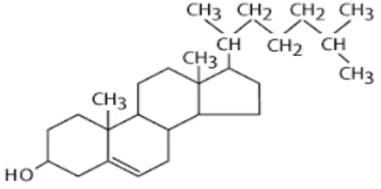 Gambar 2.1 Struktur Kimia Kolesterol (Guyton, 2007) 