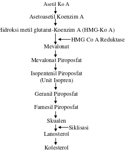 Gambar 2.2 Biosintesis Kolesterol (Munaf, 2009) 