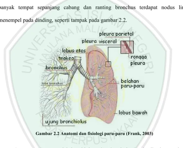 Gambar 2.2 Anatomi dan fisiologi paru-paru (Frank, 2003) 