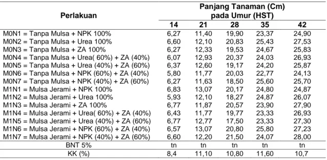 Tabel  1  Rata-Rata  Panjang  Tanaman  Bawang  Merah  dari  Perlakuan  Perbedaan  Sumber    Nitrogen dan Penggunaan Mulsa pada Umur 14 - 42 HST 