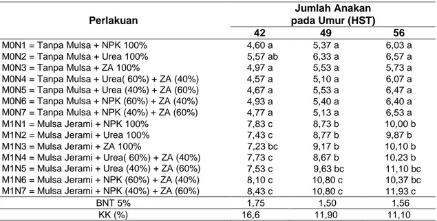 Tabel 5  Rata-Rata Jumlah Anakan Tanaman Bawang Merah dari Perlakuan Perbedaan Sumber  Nitrogen dan Penggunaan Mulsa Umur 42 - 56 HST 