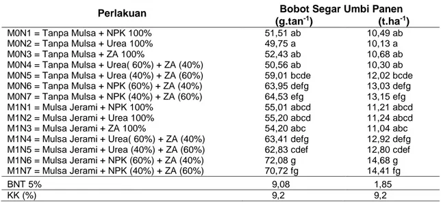 Tabel  7      Rata-Rata  Bobot  Segar  Umbi  Panen  Tanaman  Bawang  Merah  dari  Perlakuan    Perbedaan Sumber Nitrogen dan Penggunaan Mulsa pada Pengamatan Panen 
