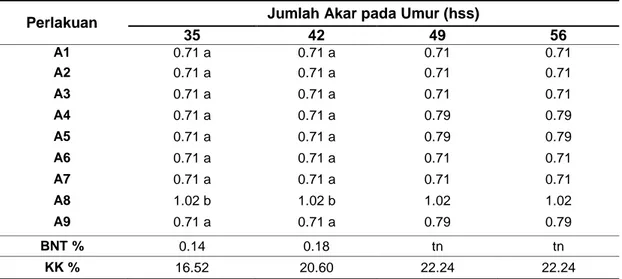 Tabel  3.  Rata-rata  Jumlah  Akar  Eksplan  Anthurium  plowmanii  Croat  pada  Berbagai  Umur  Pengamatan 