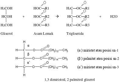 Gambar 2.2 Struktur kimia lemak (triasilgliserol) 