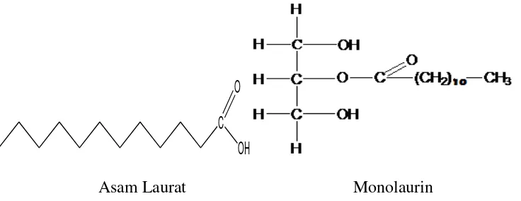 Gambar 2.4 Rumus Struktur asam laurat dan monolaurin (Aehle, 2004) 