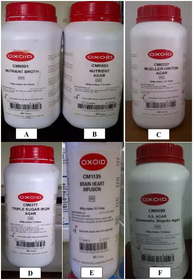 Gambar 4.  Nutrient Broth(A); Nutrient Agar(B); Mueller Hinton Agar(C); Triple Sugar Iron Agar(D); Brain Heart Infusion(E); Salmonella Shigella Agar(F)  